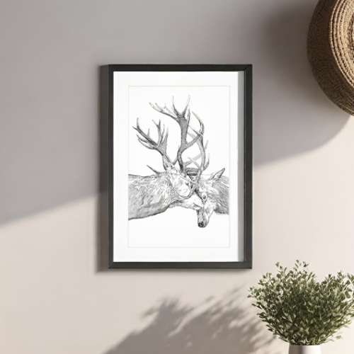Deer - Image 3